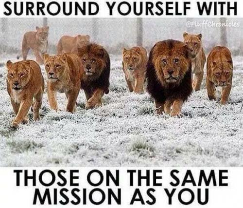 2021-09-14_15-06-21 Suround Yourself With Those On The Same Mission