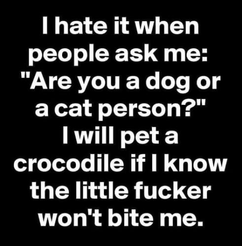 242263591_4605953152790053_9029555627027374471_n