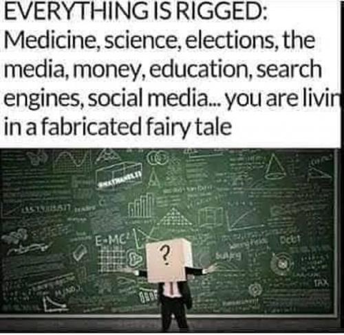 242233780_10222927824918452_2086359281339724497_n