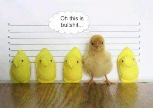 FB_IMG_1630361724674