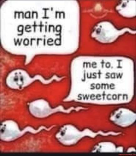 FB_IMG_1632329324237