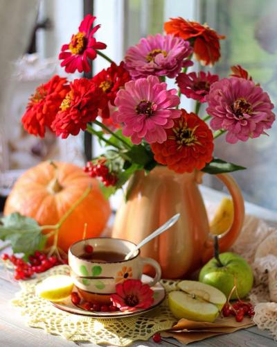 241881793_376129214108665_7506435012624560391_n