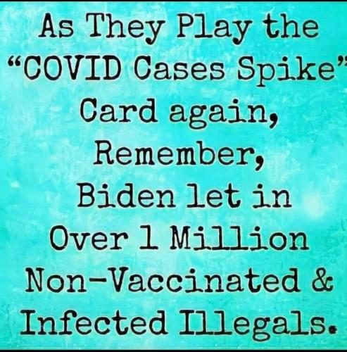 image_1631288543.482