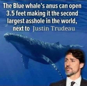 trudeau55