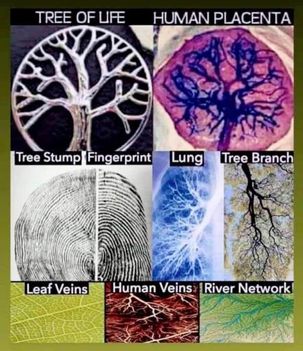 19:03:50 GMT-0400 (EDT).image