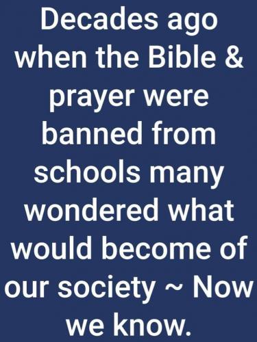 241460090_893752504881809_1668005831678114409_n