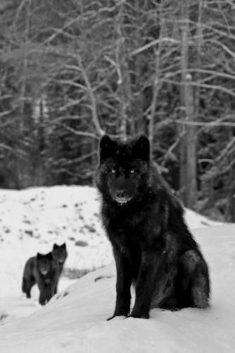 74aff298b068d741c867b6364d516bc6