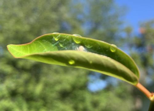 263F0C98-7982-45B3-AE16-5825ACB3E2F2