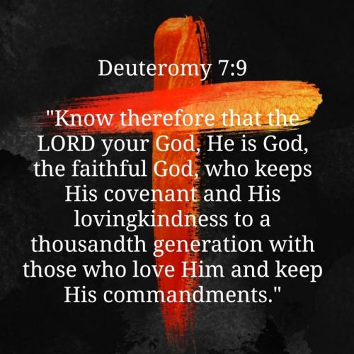 Screenshot_20210908-095416_Bible