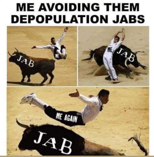 FB_IMG_1631126424829