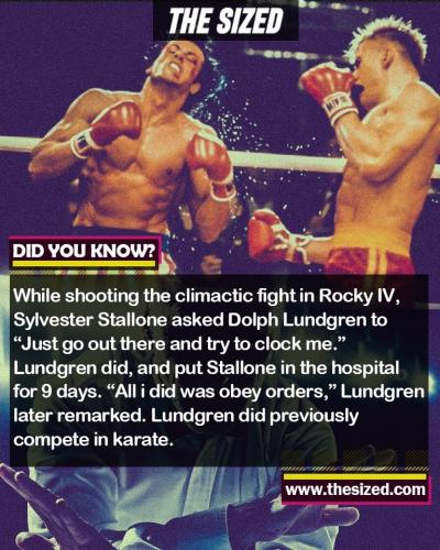 243050972_390852359147754_4927812821350806744_n