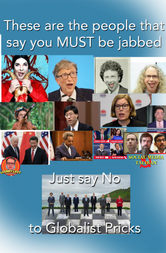 meme say no to globalist pricks shirt