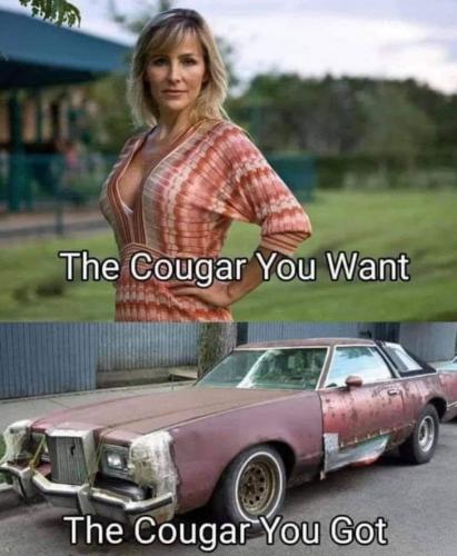 cougar