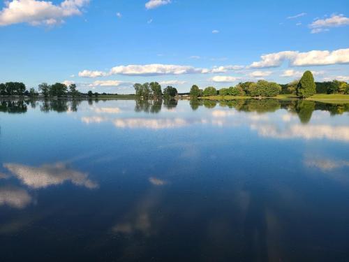 08:51:10 GMT-0400 (EDT)