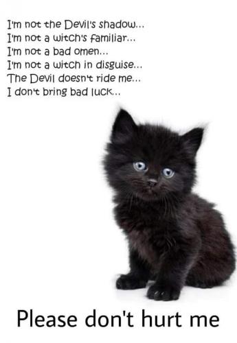 FB_IMG_1632130918265