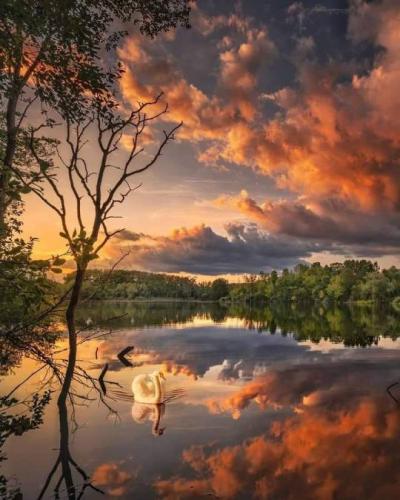 tumblr_994e0bcb2b8498185a2e8ee7bd1c4be9_f07fb067_540