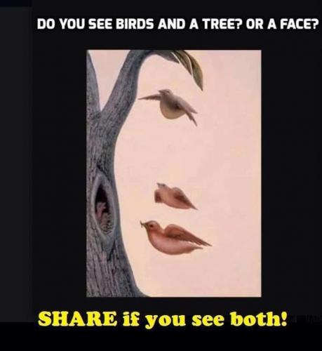 facebook_1628185870106_6829106507734068568