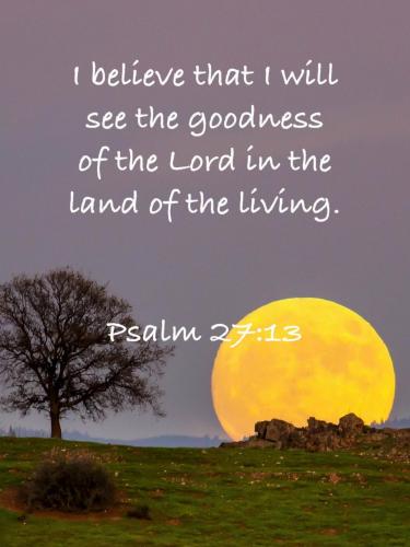 09:05:38 GMT-0400 (EDT)