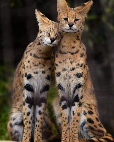 FB_IMG_1631508856265