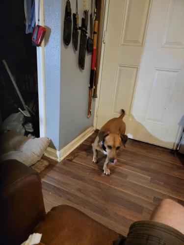 09:08:49 GMT-0500 (CDT)