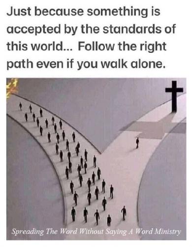 241157698_245606237570062_419911791307335514_n