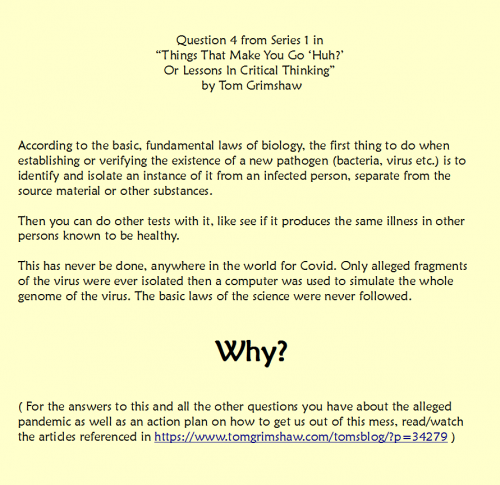 S1_Q4_Critical_Thinking