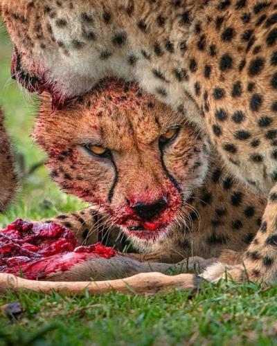 tumblr_b3b64bcedc5a4678f4b53a07abd3e5fc_ebbbf8d7_540