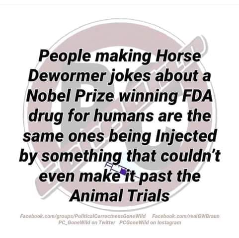 241871995_181175560789368_6298653912694994979_n