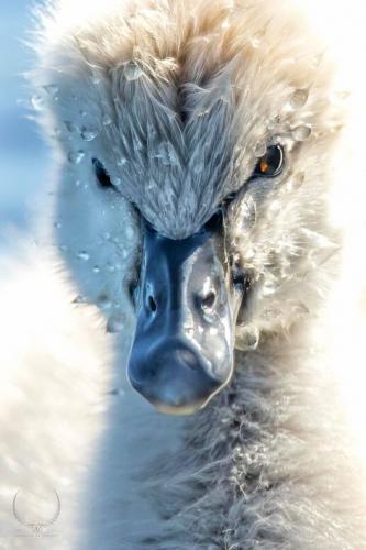 241513003_4293618690730738_2459081256549646105_n