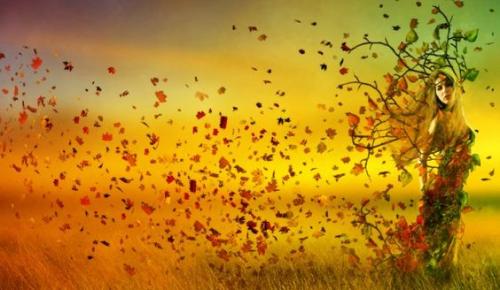 86e591d97f640ecc645d451e2e8e5bad