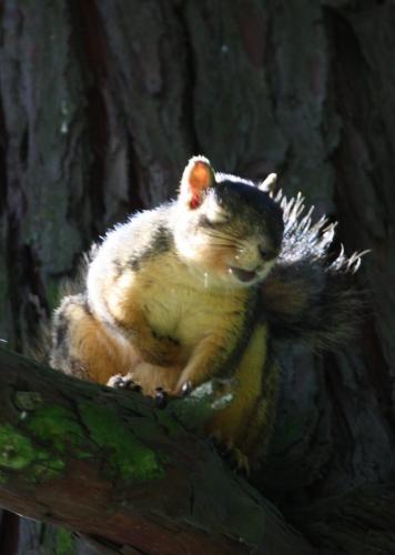 10:57:44 GMT-0400 (EDT)