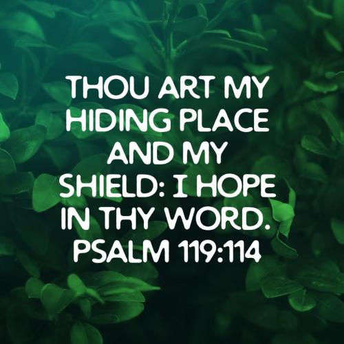 08:44:49 GMT-0400 (EDT)