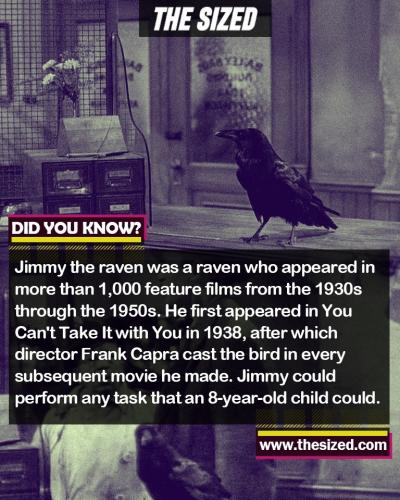 242140914_385723739660616_2112329339836707064_n