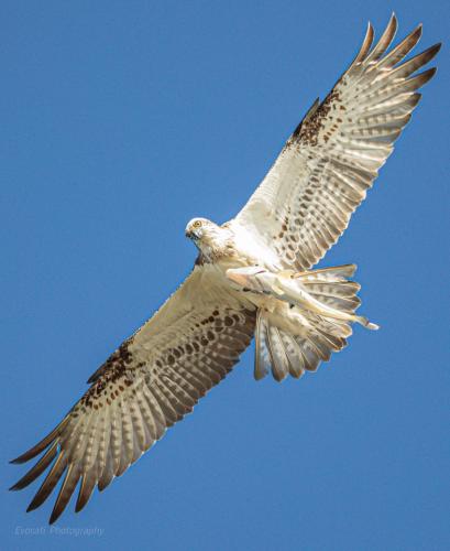 241394850_552215879346674_30470124530534702_n