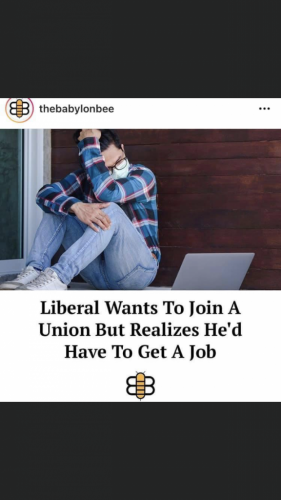 lib union