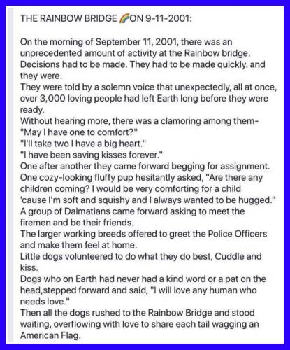 69971425_2663971566980766_3600021177822609408_n