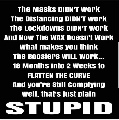 Stupid is as stupid does 1