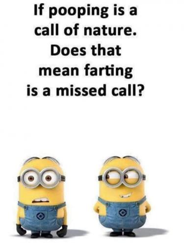 241474700_3149585631936111_7042604335087514482_n