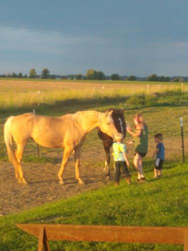 19:35:28 GMT-0400 (EDT)