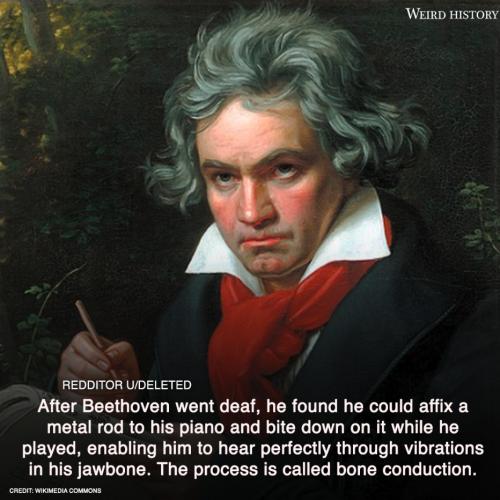 242013273_1042461842964695_7493446936245229384_n