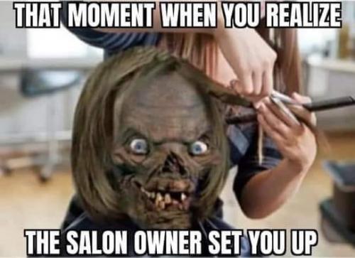 pelosi salon