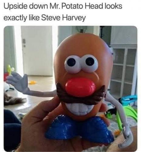 FB_IMG_1632768164748