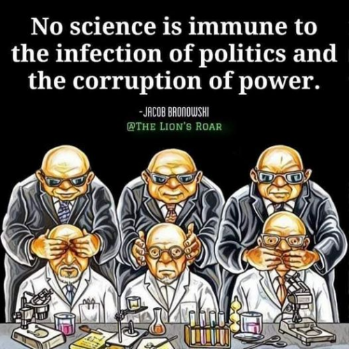 241770834_2931579633727377_7424969847398563244_n