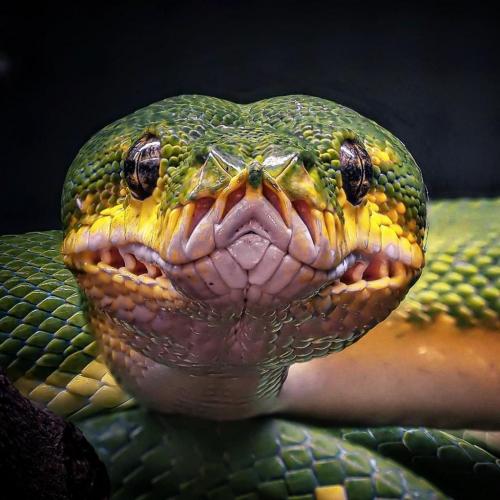 242009330_4141975905914254_4005094908791445427_n