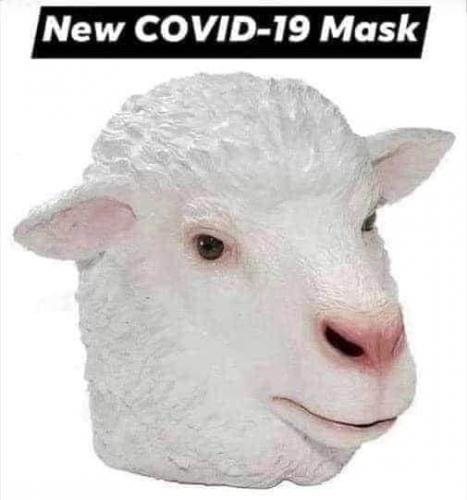 covid mask sheep