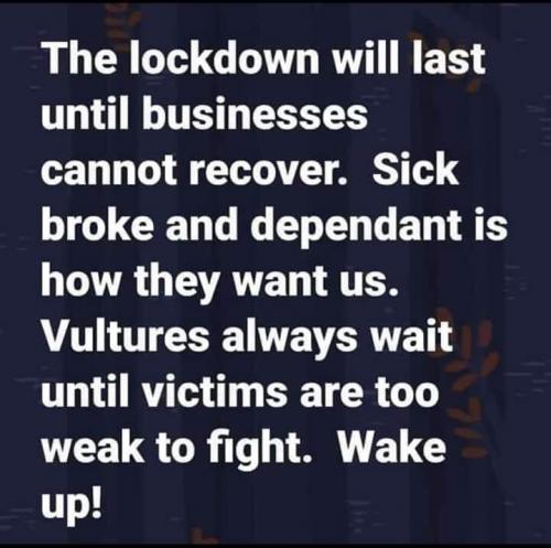 95192680_10222724959451059_4303001685162196992_n