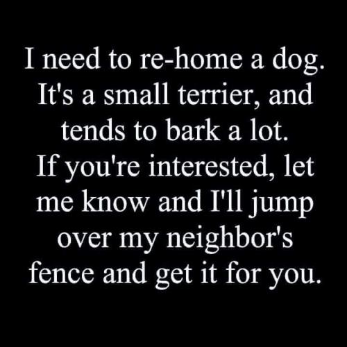 FB_IMG_1631864495066