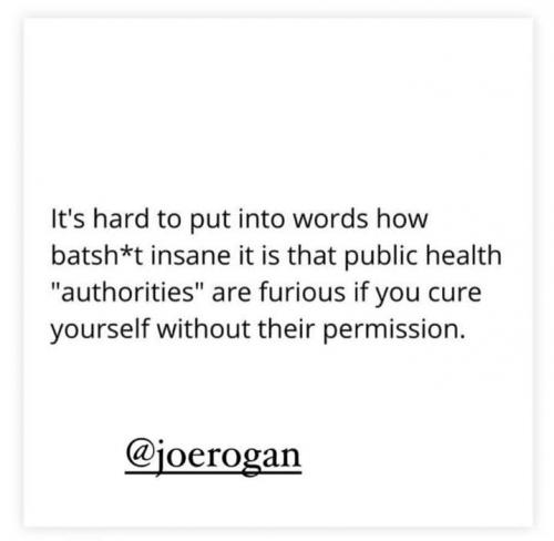 photo_2021-09-06_21-47-28