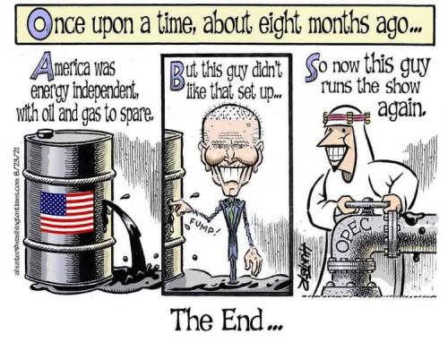 240587362_547563749784531_1230313350907597343_n