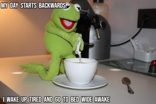 kermit backwards